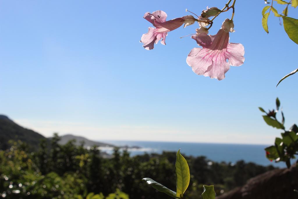 The View Hostel Florianópolis 외부 사진